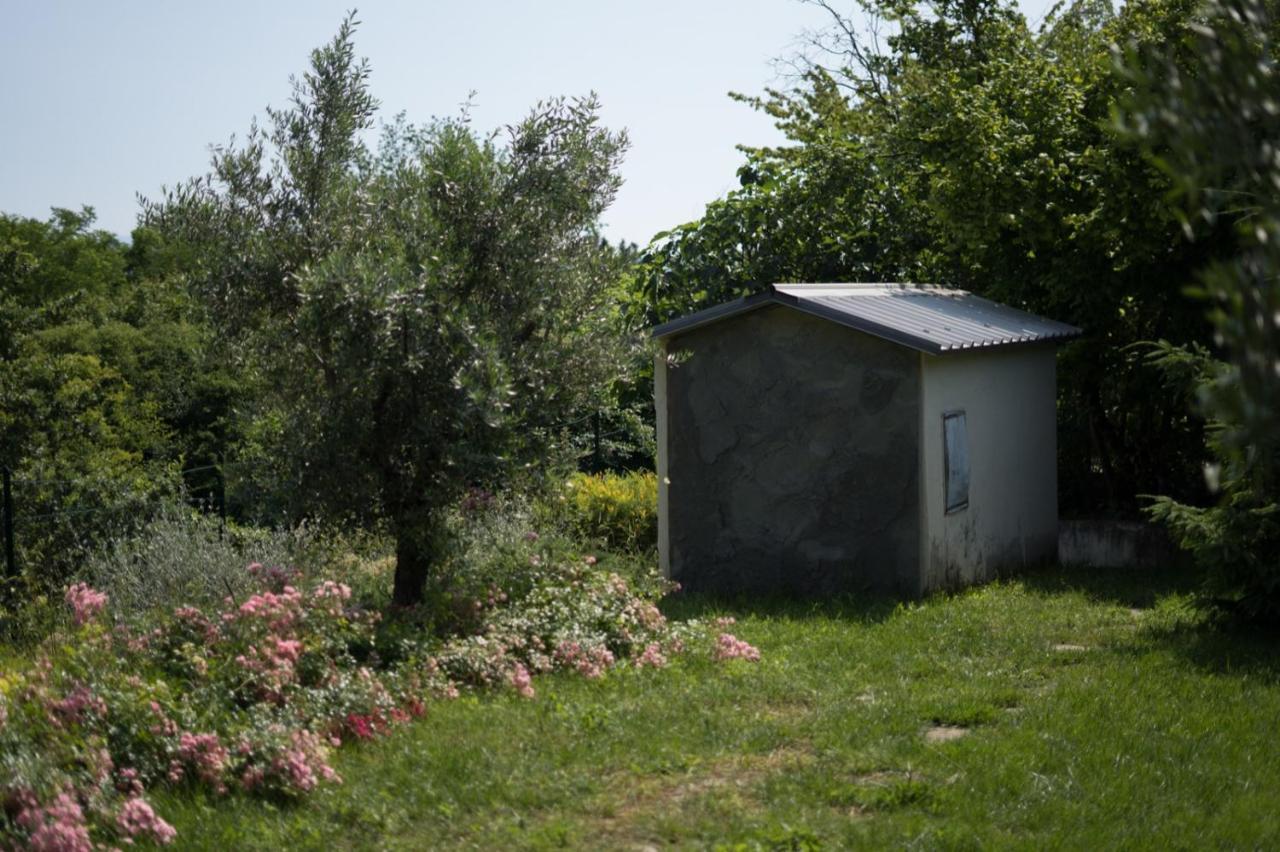 Villa Silvana - Apt Giulia & Michela With Terrace & Parking Perugia Exteriér fotografie