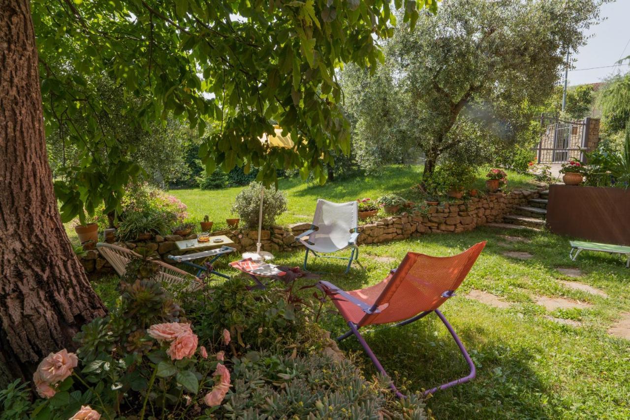 Villa Silvana - Apt Giulia & Michela With Terrace & Parking Perugia Exteriér fotografie